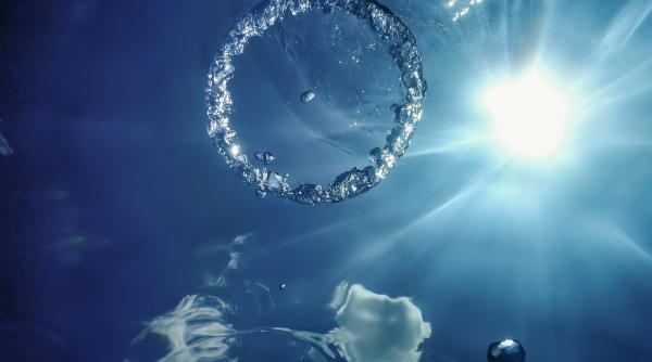 animalul care traieste fara oxigen foto in articol