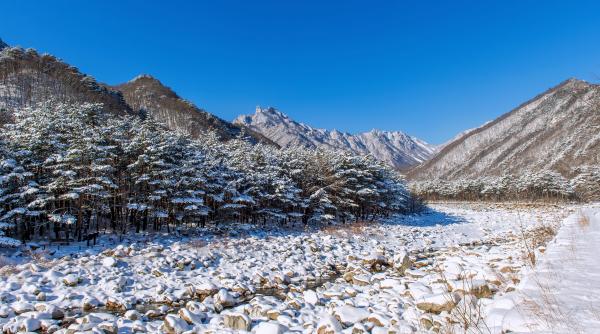 ninsoarea de vara in mongolia un fenomen rar ploile abundente s au transformat in zapada