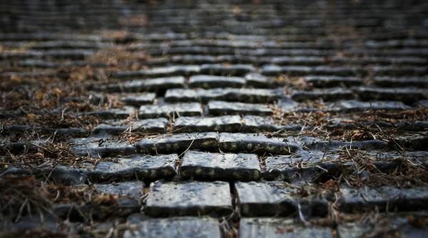 cum ar vrea alfred bulai sa schimbe fata capitalei sectorul care ar putea fi desfiintat ar trebui sa existe o lege a bucurestiului