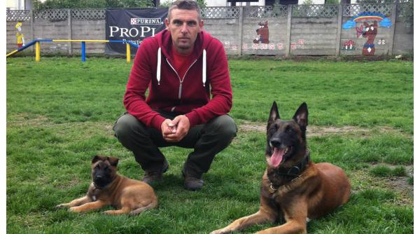 secretele dresajului canin ciprian cordos instructor de dresaj la dc anima