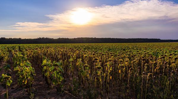 vremea in iulie ce urmeaza dupa cea mai calduroasa luna iunie din istoria masuratorilor meteorologice elena mateescu anm in fiecare saptamana pana pe 22 iulie