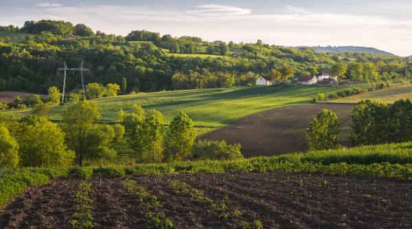 schimbarile climatice au marcat recent o victorie in europa