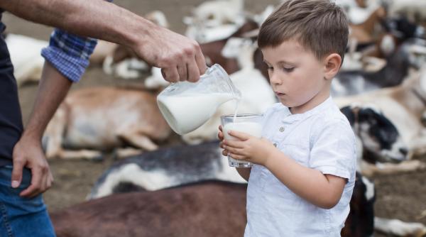 testarea pentru gripa aviara extinsa la produsele lactate in sua care este riscul de transmitere la oameni