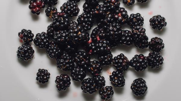 dieta neagra doar aceste legume si fructe sunt permise