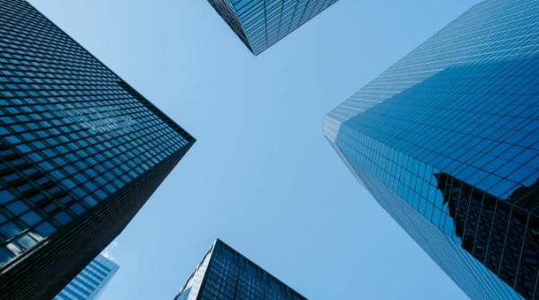 industrii de succes in 2024 trenduri si perspective