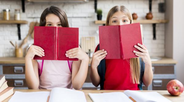 cultura si identitatea romaneasca pot fi transferate noilor generatii de copii ai romanilor plecati in strainatate prin educatie