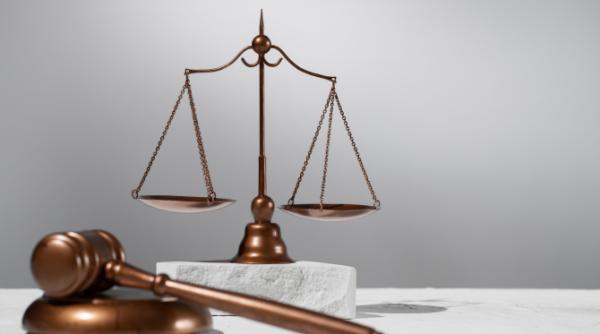 decizia instantei in cazul crimei din gradina botanica din craiova