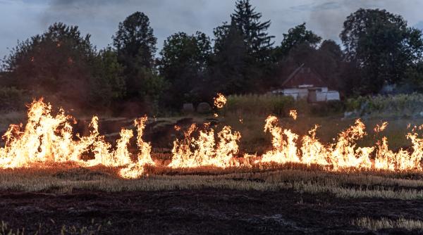 grecia se lupta pentru a doua zi cu incendiul de pe insula kos video