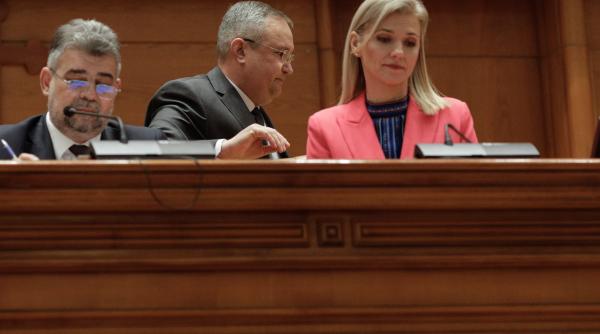 stabilirea datei alegerilor prezidentiale pnl ar fi cerut amanarea discutiilor din coalitie pentru ca e meci