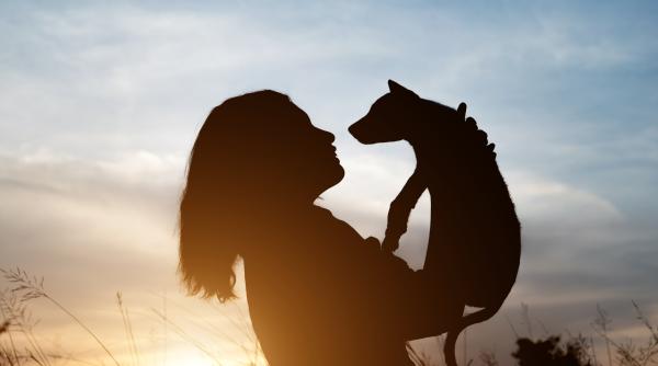 viral val de reactii dupa ce o femeie a refuzat sa returneze un caine pe care l a gasit pe strada il iubesc prea mult