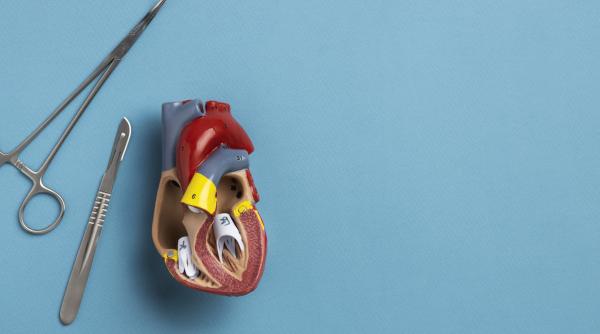 noi progrese in stiinta cum poate fi redus riscul mortii cardiace subite