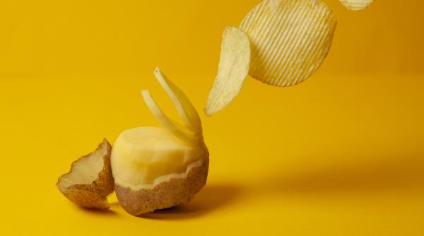 investitie de peste 100 de mil de dolari in romania inaugurata astazi langa bucuresti au facut contracte pe 25 de ani cu fermierii exporta in 17 tari