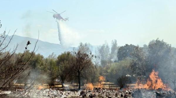 luna iunie 2024 cea mai calda in grecia din 1960 experti