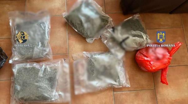perchezitii la traficantii de canabis si ecstasy din arad doi suspecti audiati