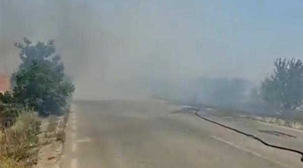 incendiu in judetul constanta langa un azil de batrani planul rosu de interventie a fost activat