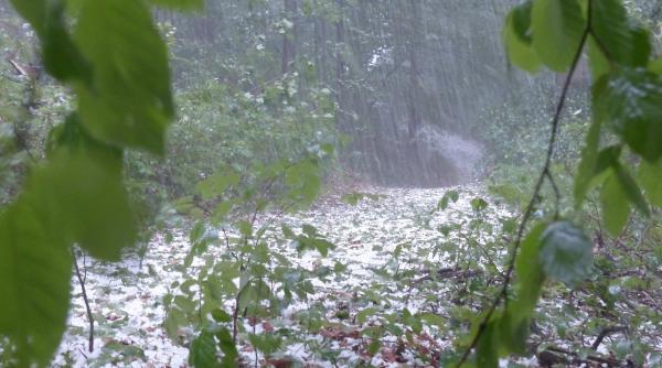 furtuna puternica cu grindina de dimensiuni mari in alba zeci de masini blocate din cauza copacilor cazuti alerte meteo de fenomene extreme imediate in mai multe judete