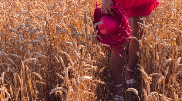 redevine romania granarul europei tara noastra cel mai mare exportator de cereale