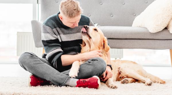 gesturi pe care oamenii le fac iar cainii le urasc tot ce trebuie sa stii