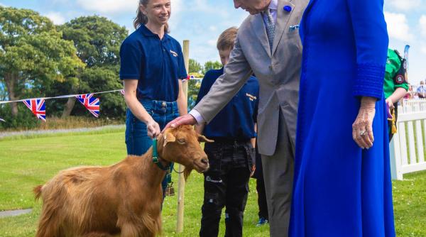 regele charles si regina camilla au acordat un titlu regal unei capre