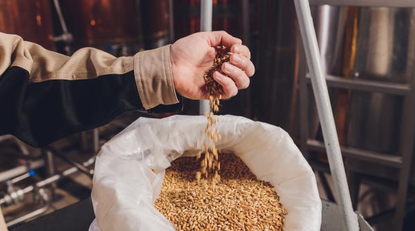 buget record alocat sectorului agricol guvernul ciolacu a adoptat noi masuri romania este acum cel mai mare exportator de cereale din ue