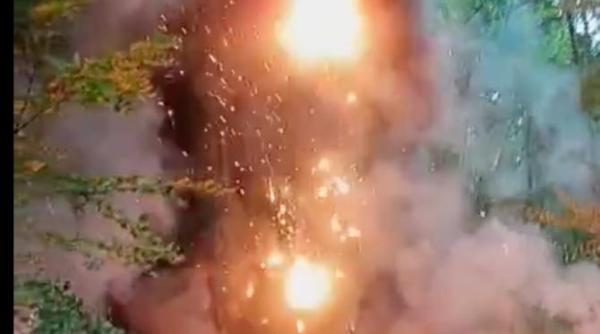 un dinozaur de 10 metri a luat foc la dino parc rasnov nu au fost raportate victime