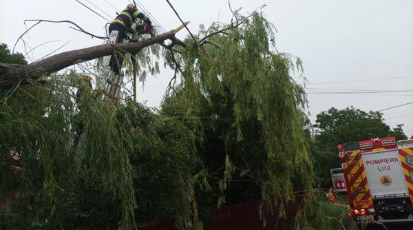furtunile au facut prapad in romania un drum forestier s a surpat in arges zeci de copaci s au prabusit iar mai multe masini au fost avariate
