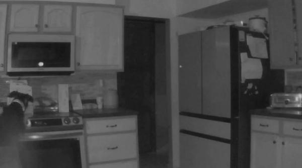 cum a reusit un caine sa incendieze locuinta stapanilor sai imaginile surprinse de camerele de supraveghere au ajuns virale