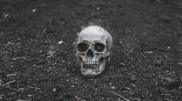 descoperire macabra la vaslui craniu uman gasit la cativa metri de un supermarket