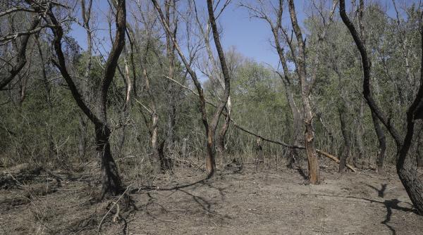 au cazut iarasi fragmente de drone rusesi in romania alerta fortelor ucrainene