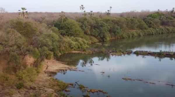 cel mai mare parc natural din senegal retras de pe lista patrimoniului mondial in pericol a unesco video