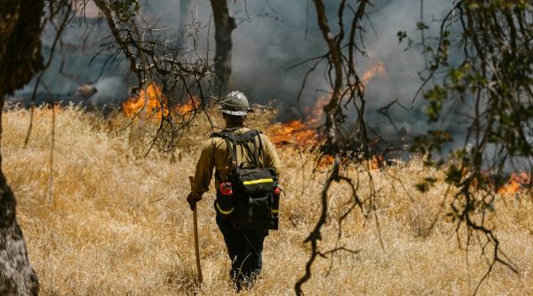 peste 3 500 de persoane evacuate din calea flacarilor megaincendiu in california