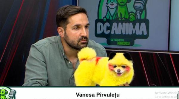 este singurul caine din romania si n lume exista doar doi groomingul creativ pro si contra vanesa pirvuletu la dc anima