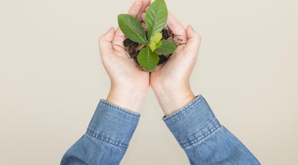 strategii comune pentru salvarea planetei consultari intre guvern si mediul academic pe tema schimbarilor climatice