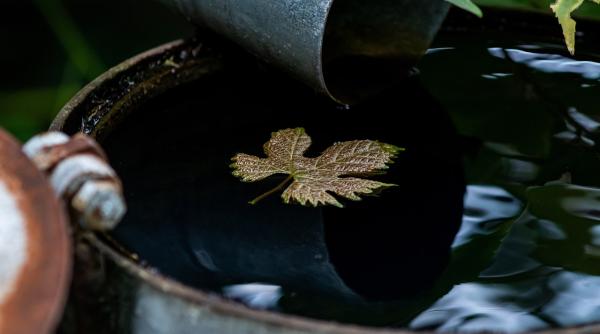 cat mai avem apa ne intoarcem la practica bunicilor de a strange apa de ploaie in butoaie pentru a uda gradina director din anm despre aerul tropical si urmaririle lui in romania