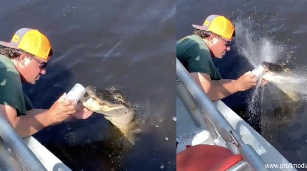 un barbat si a deschis berea cu un aligator imaginile care il surprind cu doza in coltii animalului au devenit virale