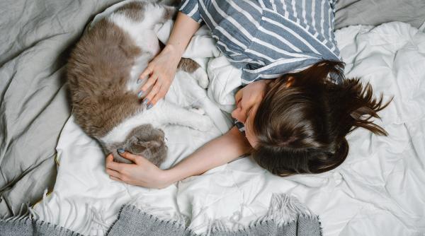 pisica te trezeste noaptea afla cum ii poti schimba comportamentul