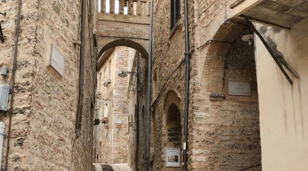 vedem si adevarul o romanca plecata in italia dezvaluie ce i a spus o doamna din romania va spun sincer video