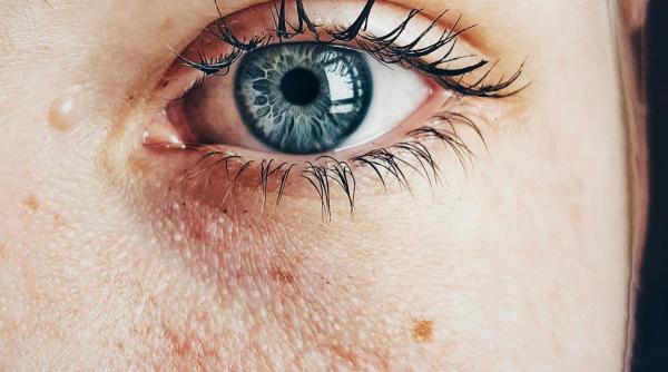 planta absolut minunata pentru ten poate sa fie atat de puternica incat sa distruga si cea mai rezistenta bacterie