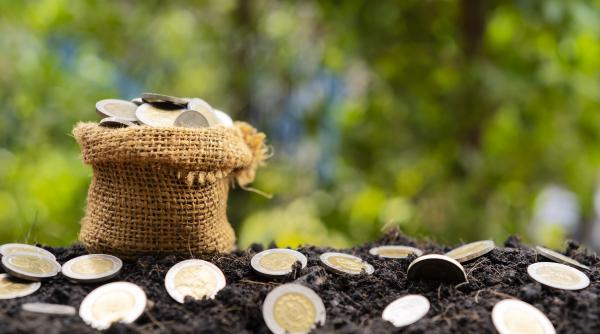 despagubiri pentru fermieri dupa pagubelor produse de seceta termenul limita pentru depunerera cererilor prelungit