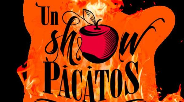 un show pacatos revine cu cine va face echipa dan capatos