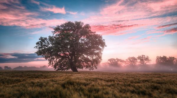 vremea in septembrie elena mateescu anm finalul verii 2024 va fi caracterizat in continuare de o vreme deosebit de calda