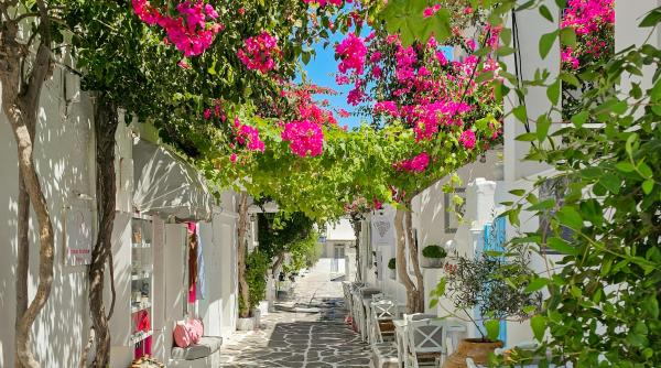 beneficiile minunate ale dietei mediteranene ce alte aspecte pe langa alimentatie sunt esentiale pentru a trai mai mult si mai bine