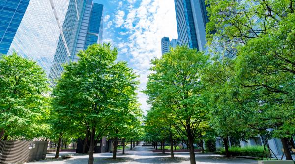 ar trebui sa umblam pe strada cu masti ca asiaticii in bucuresti atentioneaza laurentiu ciornei in vreme ce n tarile civilizate au 50 mp de spatiu verde locuitor noi avem video