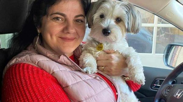 l ati vazut pe toby stapana catelului pune la bataie 1000 de euro daca il gasiti