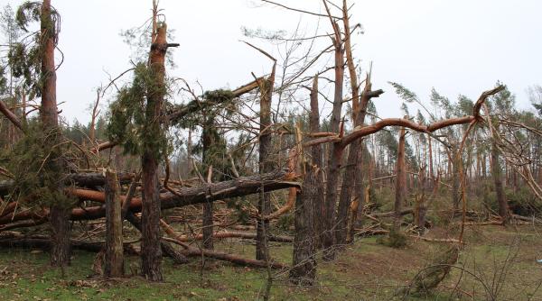 taifun in japonia autiritatile au emis cel mai inalt nivel de alerta