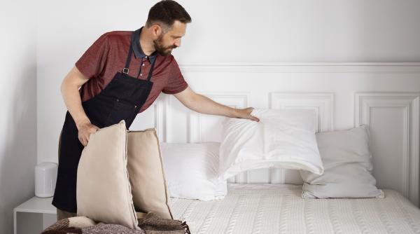 plosnitele de pat cum identifici si previi o infestare