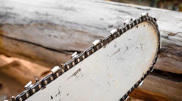 tragedie la vaslui femeie arsa de vie de concubin marturia cutremuratoare a fiului