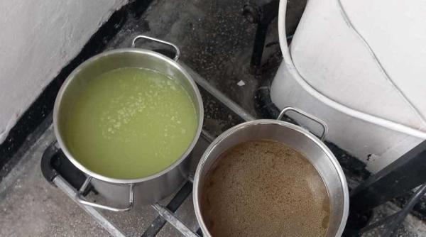 alimente expirate si mizerie pe litoral anpc a dat amenzi de peste 12 milioane de lei