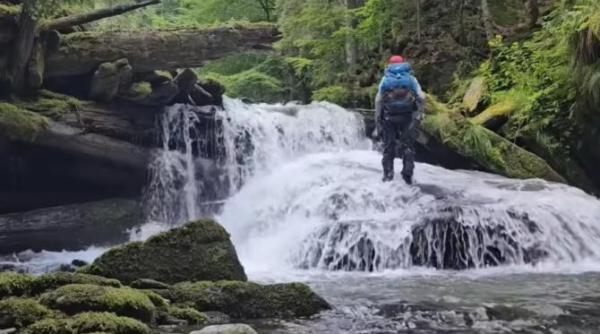 un cunoscut pescar a reusit niste capturi superbe de pastrav indigen pe pe unul dintre cele mai izolate rauri din tara video in articol