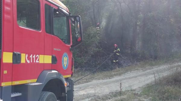 incendiul de vegetatie din valcea s a extins si a ajuns la circa 40 de hectare se intervine in forta cu peste 100 de pompieri padurari si voluntari